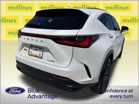 Used 2025 Lexus NX 250 FWD w/ Cold Area Package image 4
