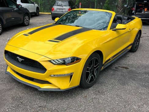 Used 2018 Ford Mustang Premium w/ Equipment Group 201A RWD image 1