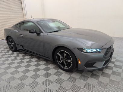 Used 2025 Ford Mustang Coupe