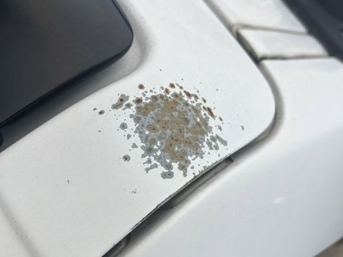 Used 2007 Toyota FJ Cruiser 4WD image 15