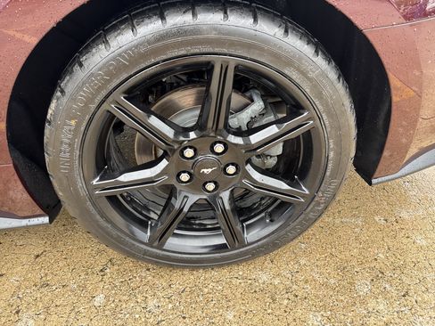 Used 2018 Ford Mustang GT w/ Black Accent Pkg RWD image 13