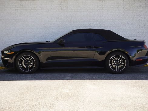 Used 2023 Ford Mustang Premium w/ Equipment Group 201A RWD image 6