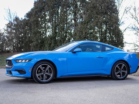 Used 2024 Ford Mustang EcoBoost image 8