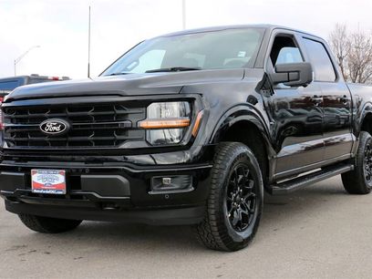 New 2025 Ford F150 XLT w/ Equipment Group 302A MID