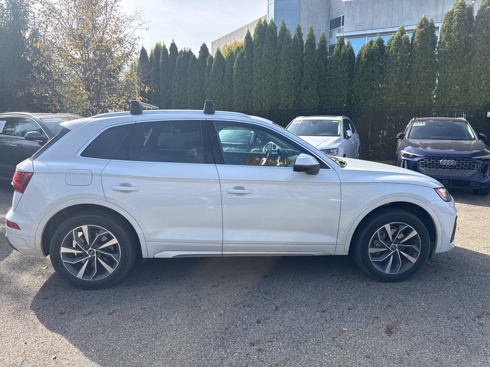 Used 2021 Audi Q5 Premium w/ Premium Plus Package AWD/4WD image 6