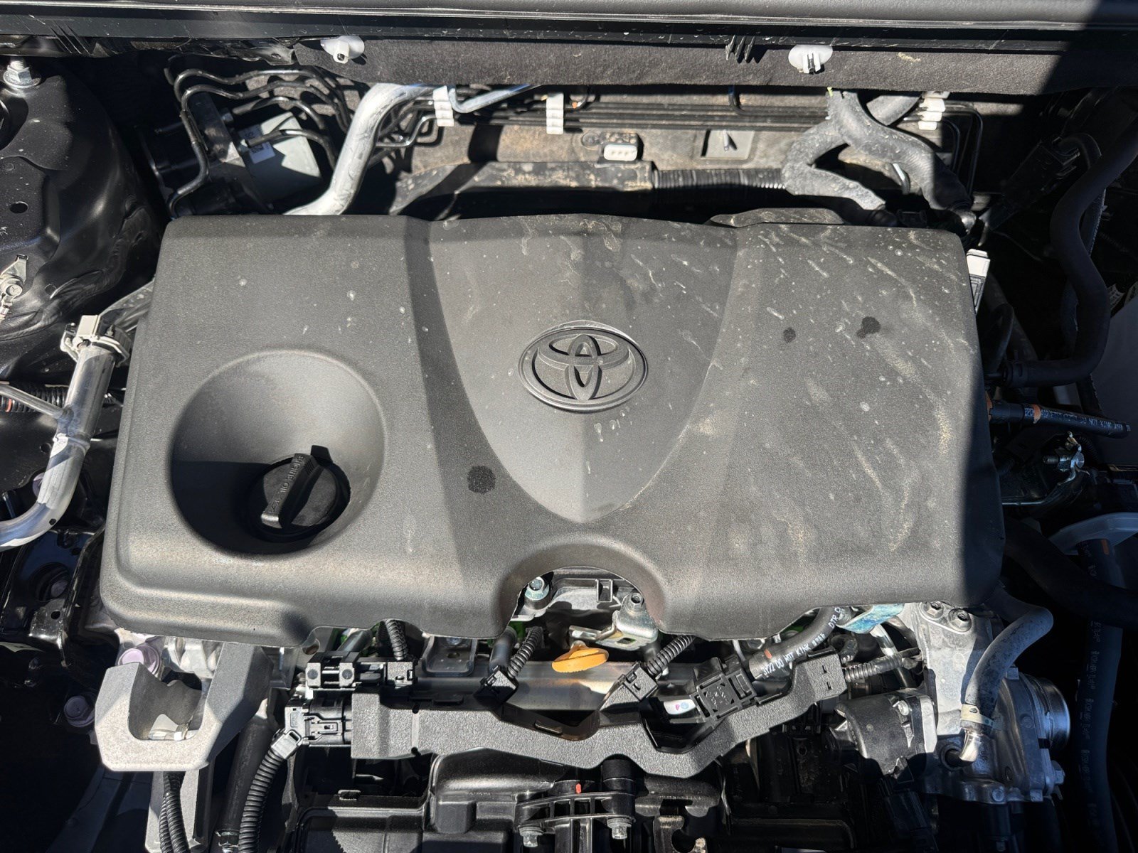 Used 2024 Toyota RAV4 XLE AWD/4WD image 21