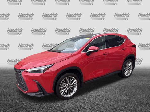 Used 2025 Lexus NX 350 AWD w/ Cold Area Package image 5