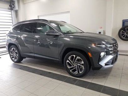 New 2026 Hyundai Tucson Limited w/ Tow & Go Package