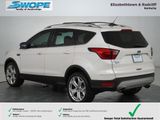 Used 2019 Ford Escape Titanium image 4