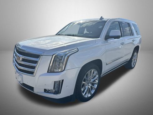 Used 2019 Cadillac Escalade Premium Luxury AWD/4WD image 1