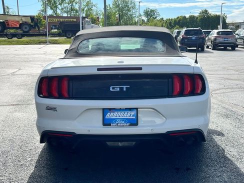 Used 2019 Ford Mustang GT Premium w/ Equipment Group 401A RWD image 6