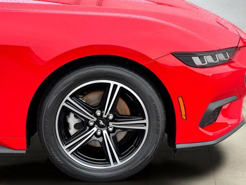 Used 2025 Ford Mustang Coupe RWD image 36