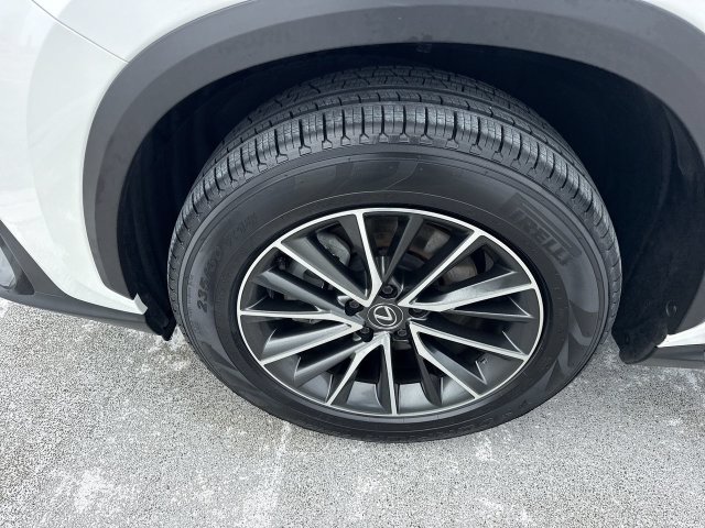 Certified 2024 Lexus NX 350h AWD w/ Cold Area Package image 10