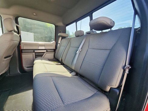 Used 2019 Ford F150 XLT w/ Equipment Group 302A Luxury AWD/4WD image 19