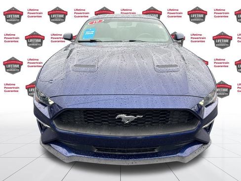 Used 2019 Ford Mustang Premium image 2
