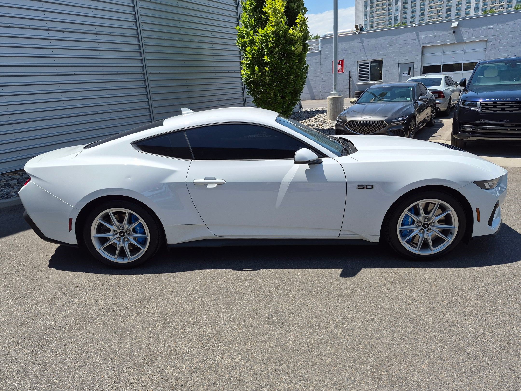 Used 2024 Ford Mustang GT Premium RWD image 2