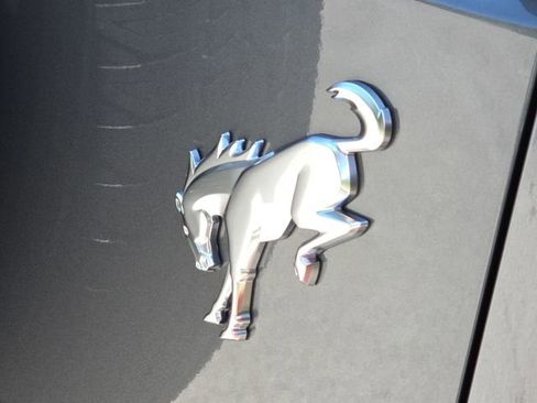 New 2025 Ford Bronco 4-Door AWD/4WD image 10