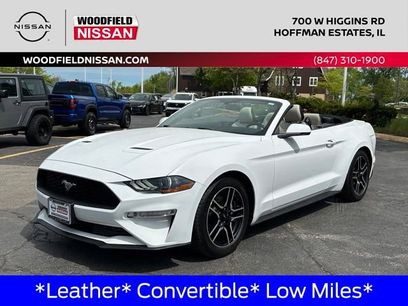 Used 2019 Ford Mustang Premium