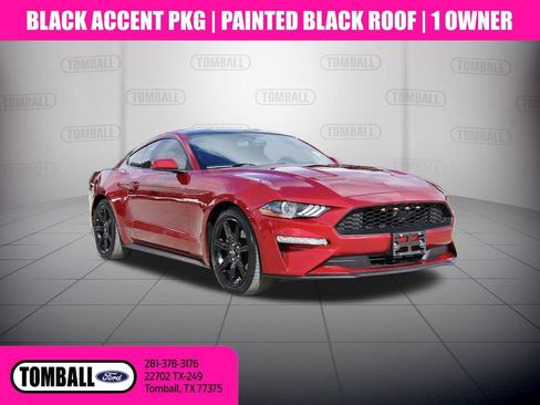 Used 2019 Ford Mustang Coupe w/ Black Accent Package image 1