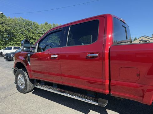Used 2019 Ford F250 XLT w/ XLT Premium Package AWD/4WD image 7