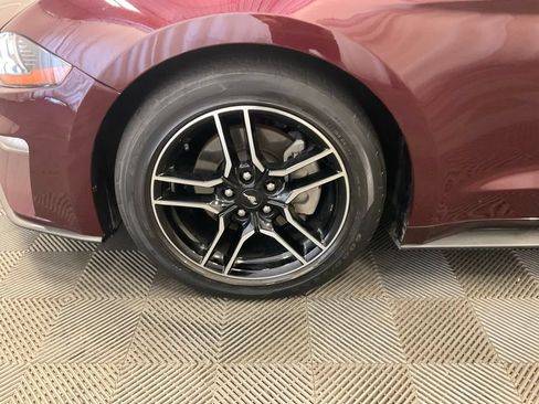 Used 2018 Ford Mustang Premium w/ Equipment Group 201A RWD image 9