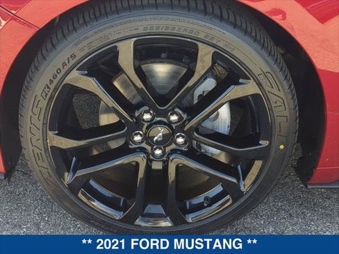 Used 2021 Ford Mustang Premium w/ Equipment Group 201A RWD image 9