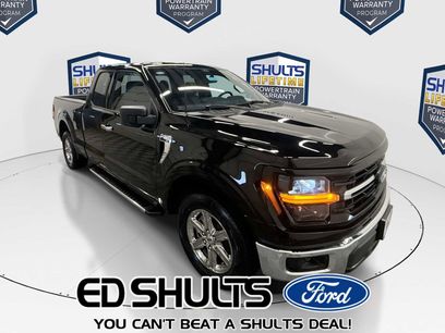 New 2025 Ford F150 XLT w/ Equipment Group 301A Standard