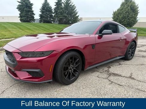 Used 2025 Ford Mustang Coupe RWD image 4