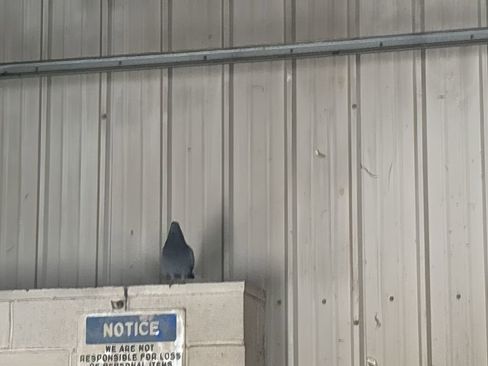 Used 2013 Subaru Crosstrek 2.0i Premium AWD/4WD image 10