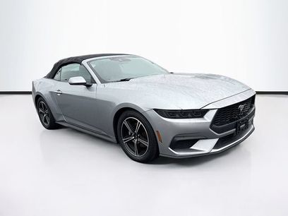 Used 2025 Ford Mustang Premium