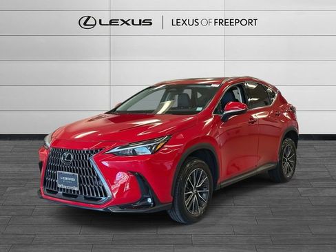Used 2025 Lexus NX 350 AWD w/ Cold Area Package image 7