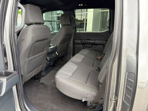 Used 2024 Ford F150 STX w/ STX Black Appearance Package image 13
