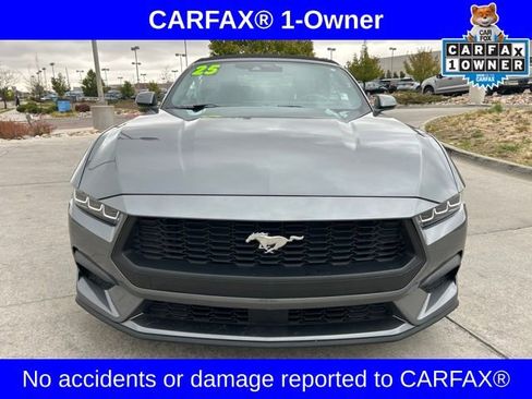 Used 2025 Ford Mustang Premium RWD image 2