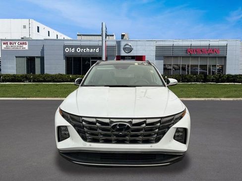 Used 2023 Hyundai Tucson Limited image 2