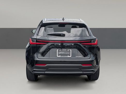Used 2025 Lexus NX 250 FWD w/ Cold Area Package image 10