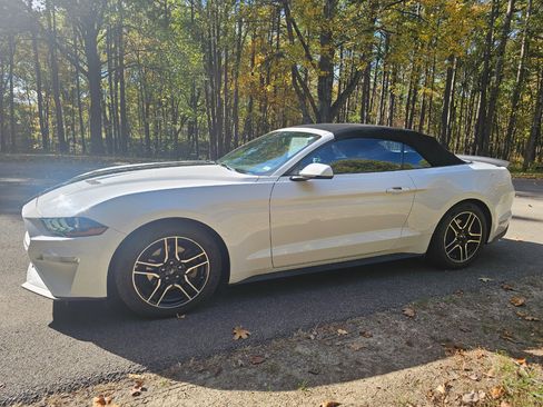Used 2018 Ford Mustang Premium image 11
