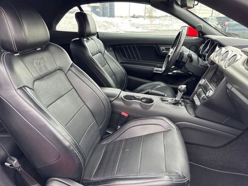 Used 2015 Ford Mustang GT Premium w/ Equipment Group 401A image 12