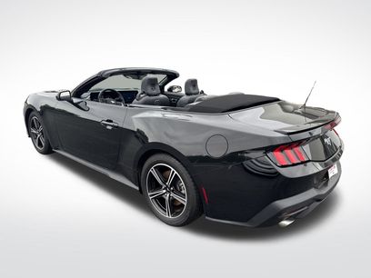 Used 2024 Ford Mustang Premium