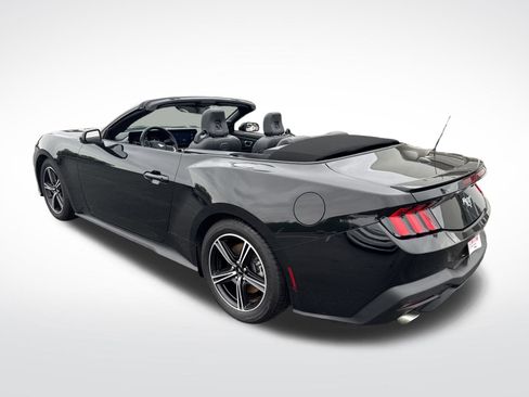 Used 2024 Ford Mustang Premium image 4