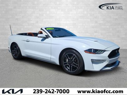 Used 2019 Ford Mustang Premium
