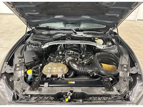 Used 2018 Ford Mustang Shelby GT350 RWD image 4