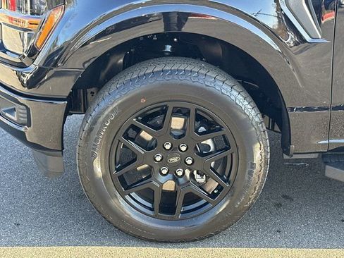 Used 2024 Ford F150 STX w/ STX Black Appearance Package image 13