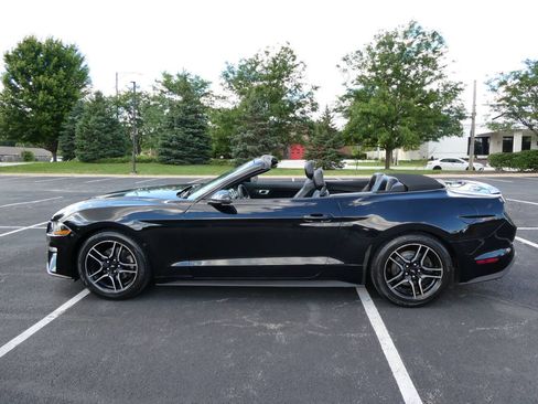 Used 2019 Ford Mustang Premium RWD image 15