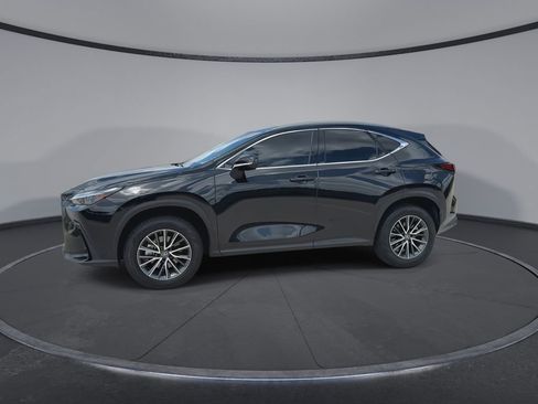 Used 2025 Lexus NX 350h AWD w/ Premium Package image 5