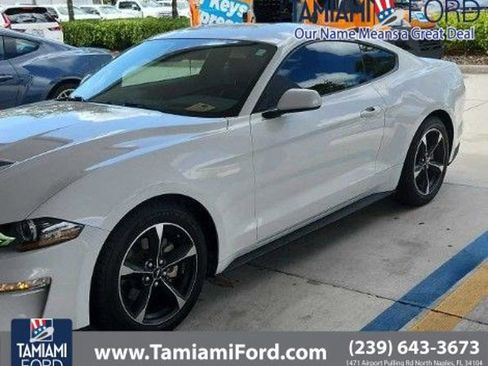 Certified 2019 Ford Mustang EcoBoost w/ Ford Safe & Smart Package image 1