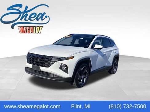 Used 2024 Hyundai Tucson Limited image 1