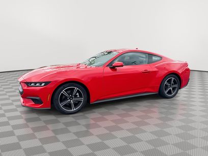 Used 2024 Ford Mustang Premium