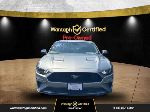 Used 2023 Ford Mustang Premium image 2
