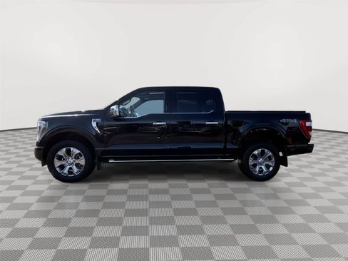 Used 2023 Ford F150 Platinum w/ Equipment Group 701A High AWD/4WD image 2