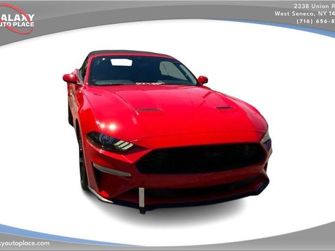 Used 2019 Ford Mustang Convertible w/ Equipment Group 101A RWD image 3